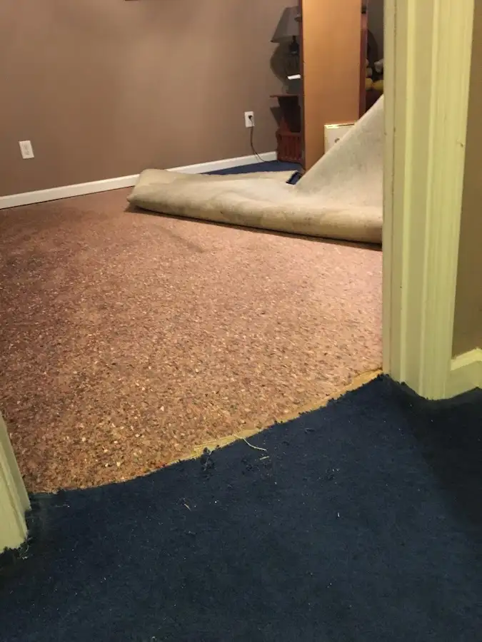 Carpet pad removal revealing water damage during Drying & Dehumidification in Millburn