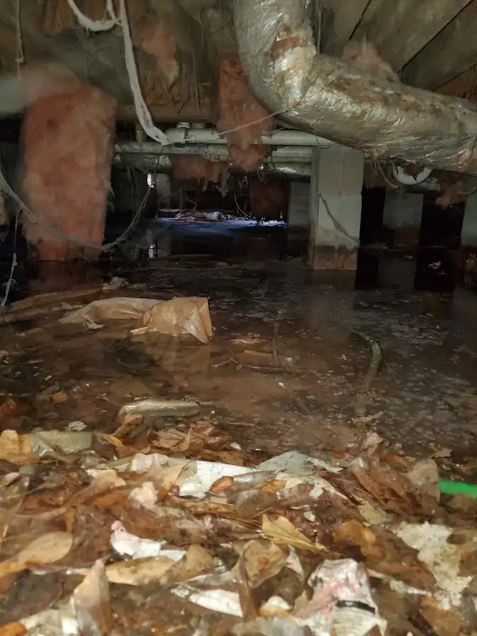 Crawl space flood assessment for Leak Detection & Repair in Millburn